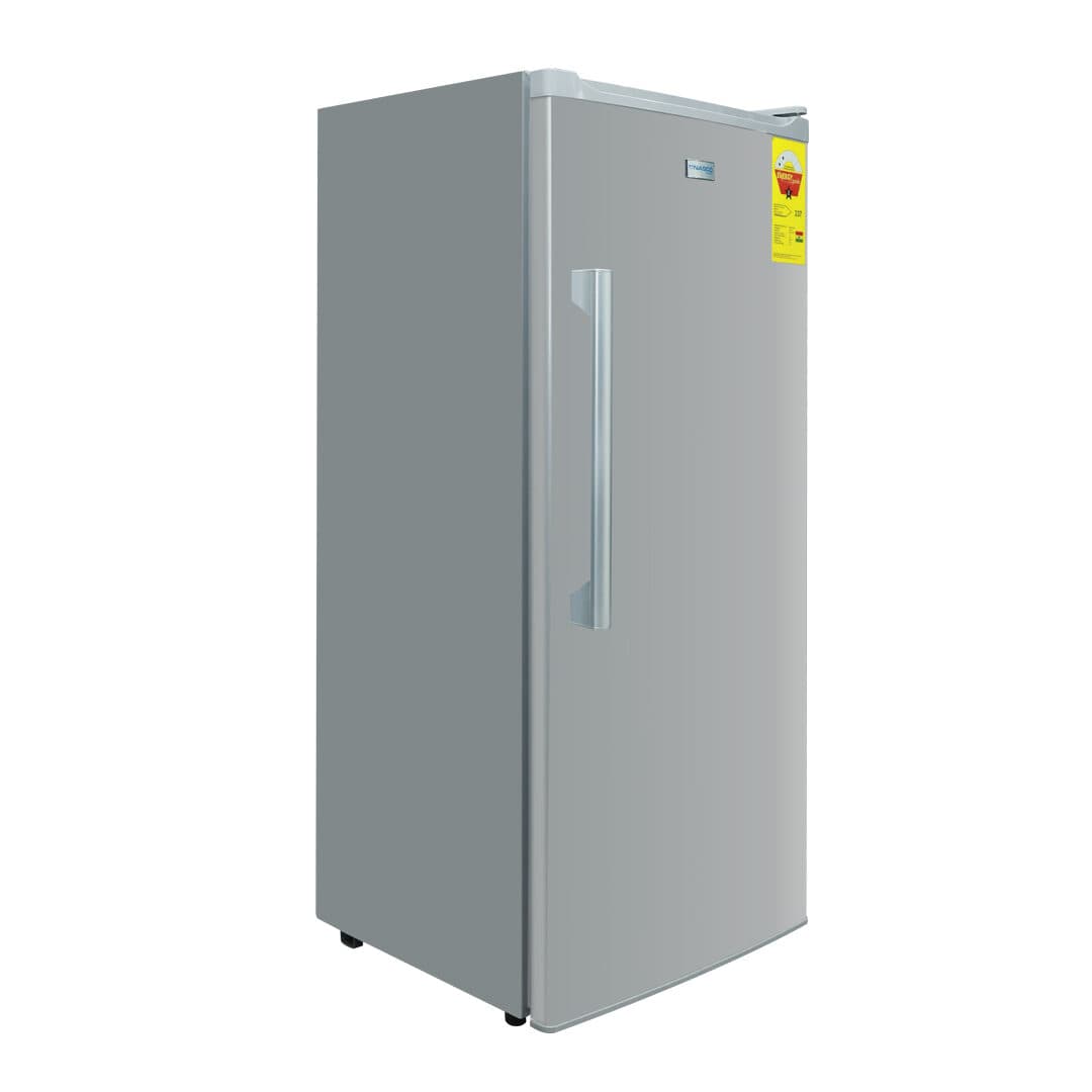 Nasco 150L Standing Freezer [NASD1-225FL]